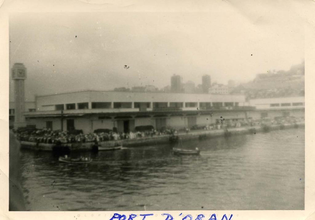L ATTENTE DE L EXODE JUILLET 1962 PORT D ORAN.JPG